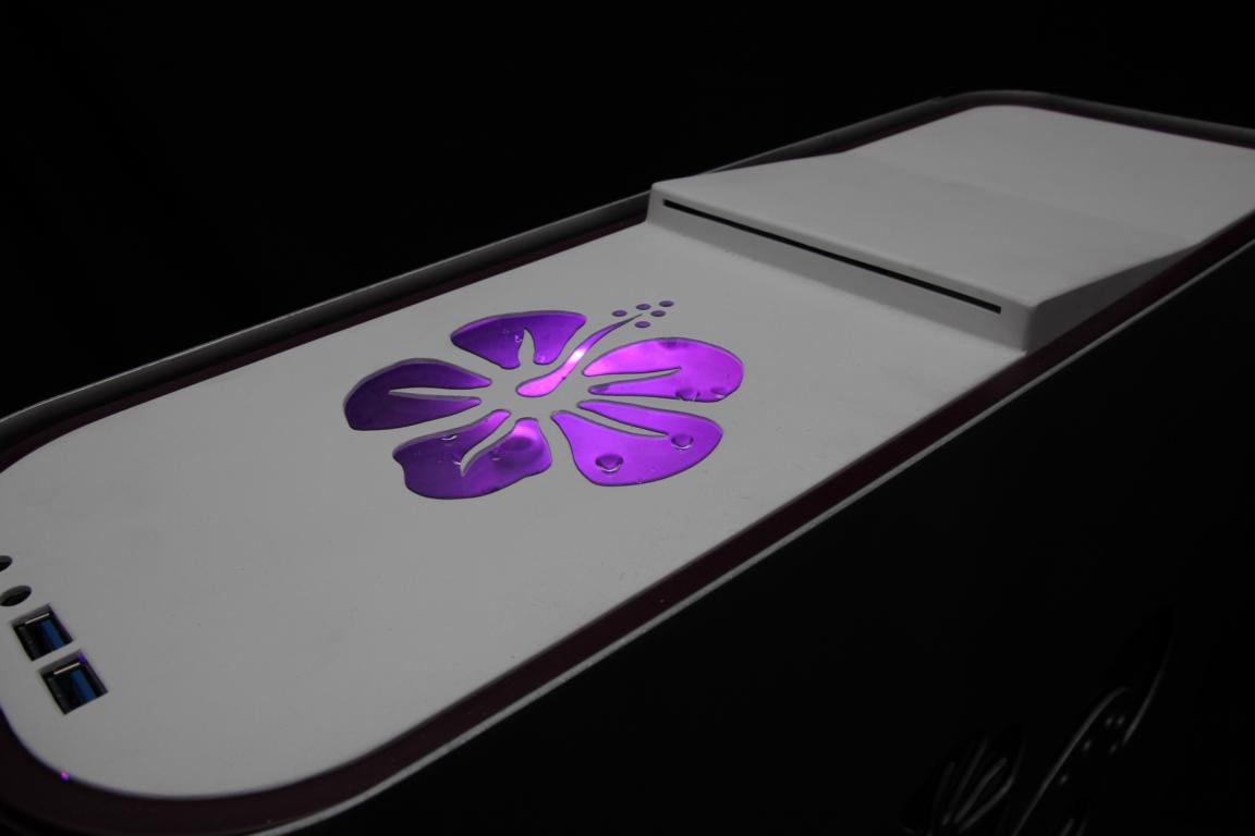Fiore-Final-15